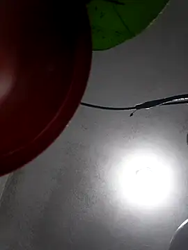 reisloko live sex cam