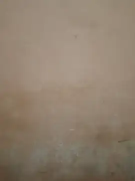 Pooja_bhabhi00's cam snapshot