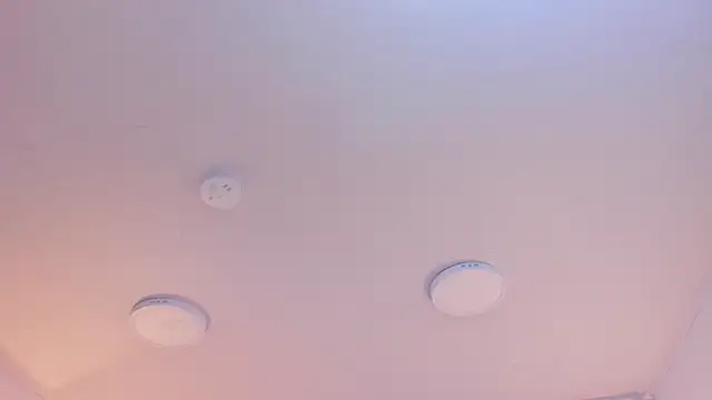 caroline__muller's cam snapshot