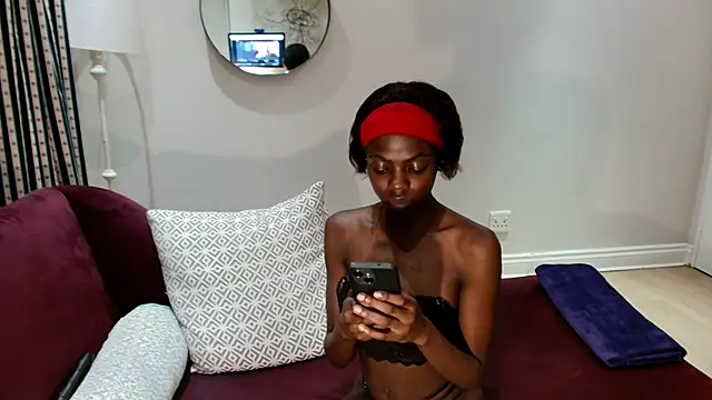 KIM-10111's cam snapshot