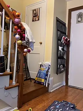 daddydarkskindikk live sex cam