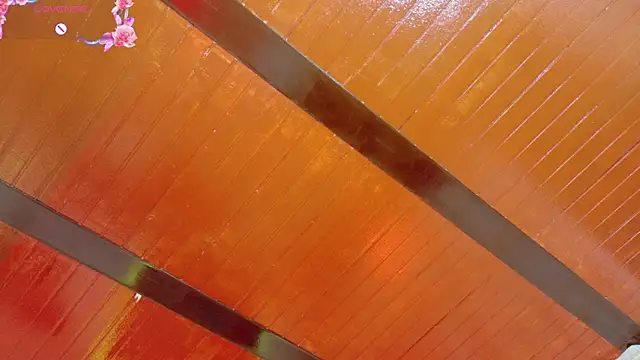 Auroraparker's cam snapshot