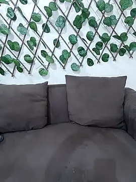 Bold-Cat's cam snapshot