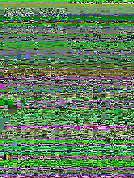 Nika-19's cam snapshot