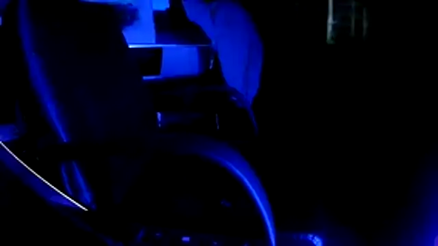 Bowerboi's cam snapshot