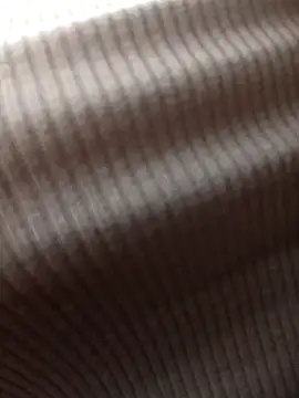 _Luna-1's cam snapshot