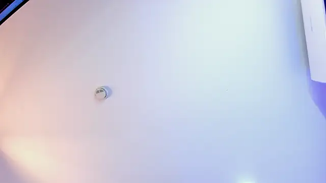 Angelina_Roa's cam snapshot