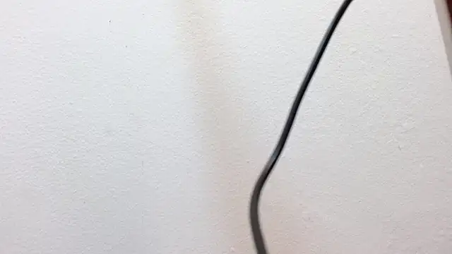 JackSwan18 live sex cam