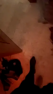 Misspadrona88's cam snapshot