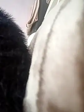 Dr_Kamsutra's cam snapshot