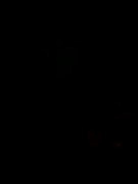 Hunter_Bull_size_07's cam snapshot