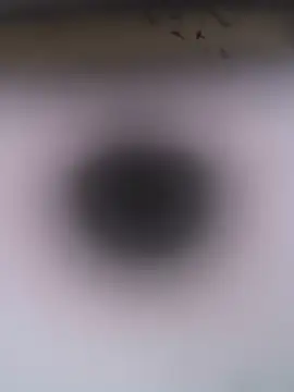 bogland33's cam snapshot