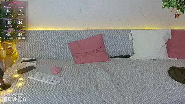 toriline's cam snapshot