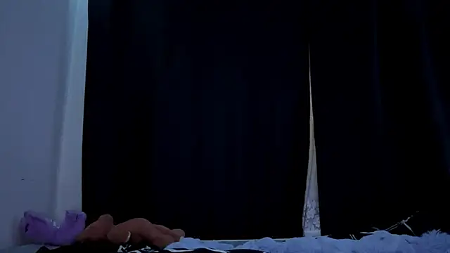 SoldBrief's cam snapshot