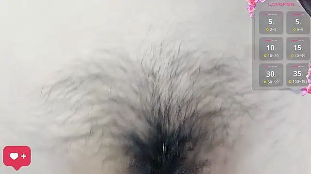 kindbee's cam snapshot