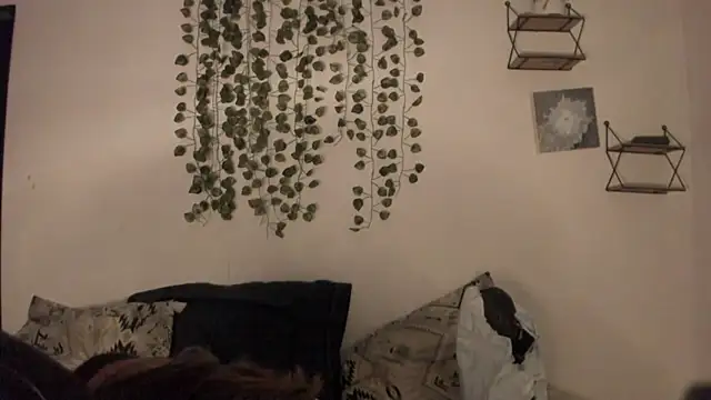 Noellesable's cam snapshot