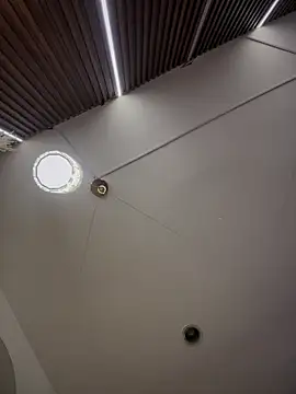 Anita-vega live sex cam