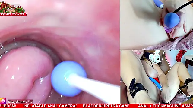 MaryBrook1 live sex cam