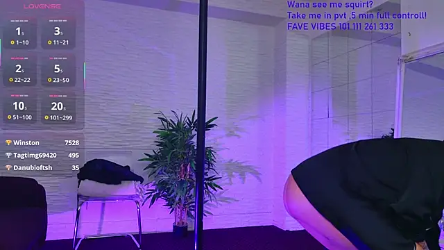 MusePole's cam snapshot