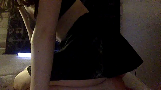 Palinchik's cam snapshot