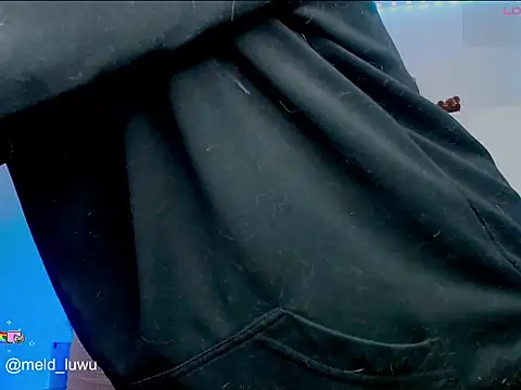 melissahowl's cam snapshot