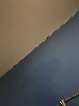 stevo170t's cam snapshot