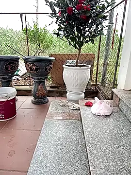 Sweet-Berryy's cam snapshot