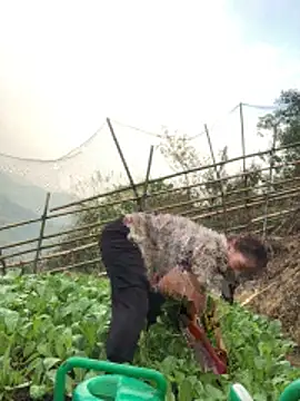 Maymay97's cam snapshot