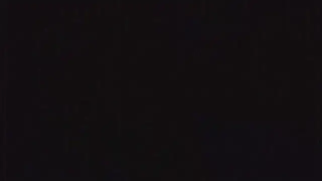 SienaWild's cam snapshot