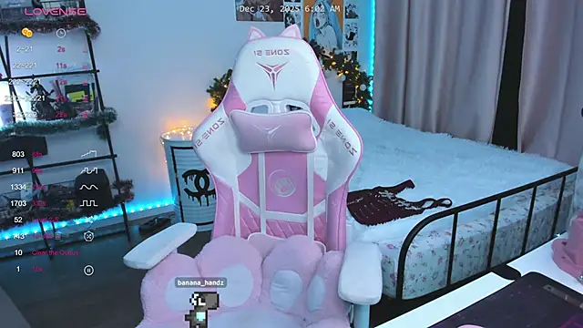 ashleywowmeow's cam snapshot