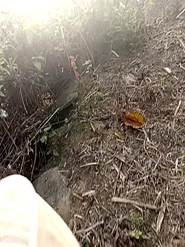 Mami_xxx's cam snapshot