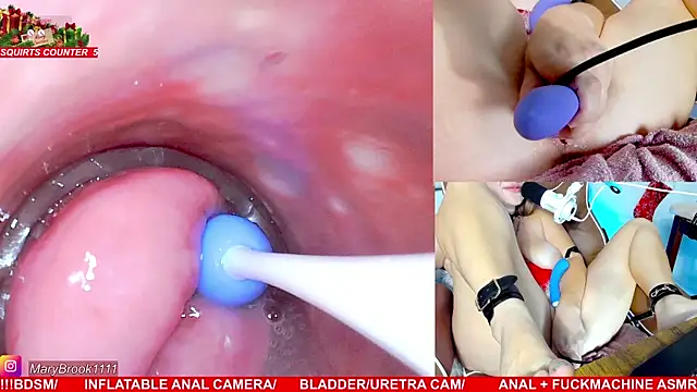 MaryBrook1 live sex cam