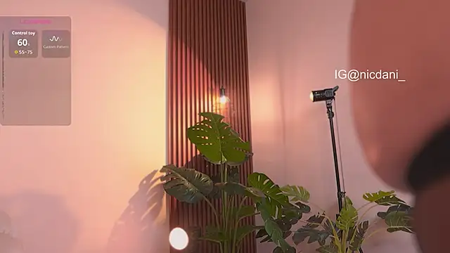 nicdani_1's cam snapshot