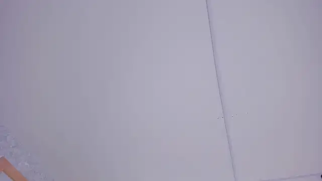 zara_rosses1's cam snapshot