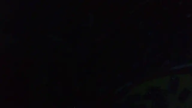 ILOVEhairywoman live sex cam