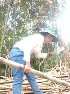 be-yeu's cam snapshot