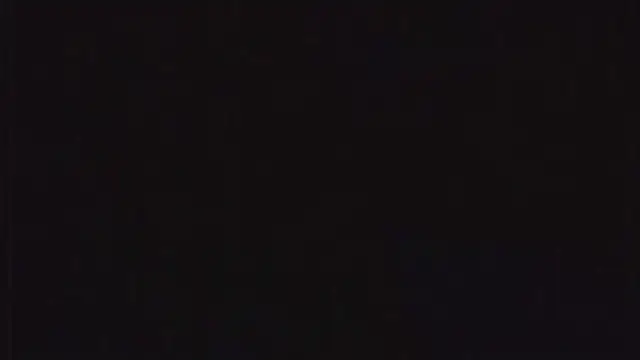 SienaWild's cam snapshot