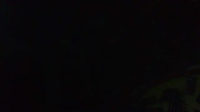 ILOVEhairywoman's cam snapshot