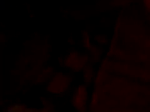 BrissPLUG8 live sex cam