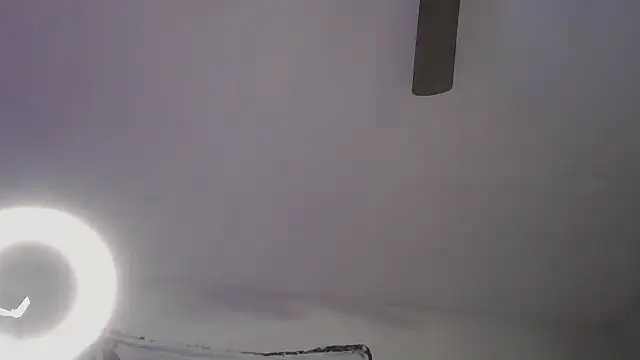 SpiderRose's cam snapshot