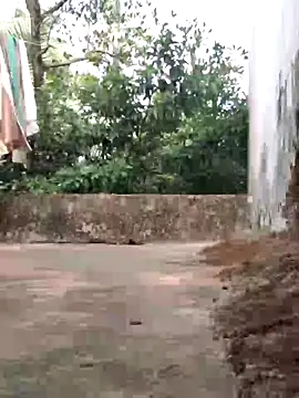 Meow_buggie's cam snapshot