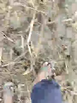 ThethunderPo live sex cam