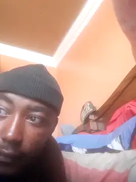 RearApiary live sex cam