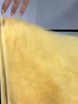 elolotero live sex cam