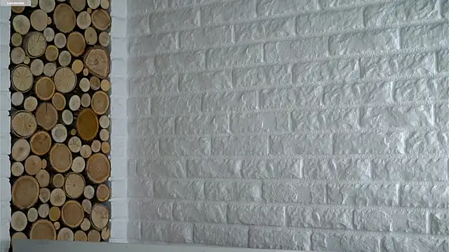 LowOncoming's cam snapshot