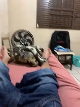 heitorpaugrande live sex cam