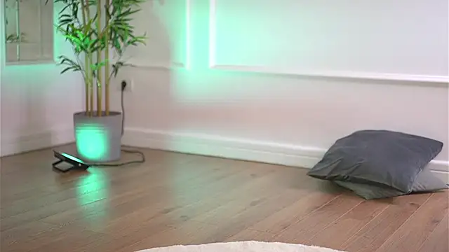 Cherrysweett live sex cam