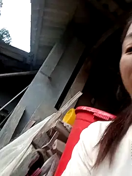 seacyre's cam snapshot