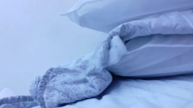 yourcuteneighbourr's cam snapshot