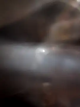 indianhotwife639's cam snapshot